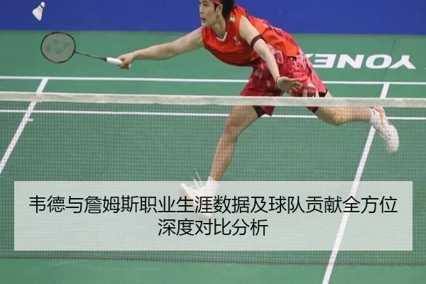 韦德与詹姆斯职业生涯数据及球队贡献全方位深度对比分析